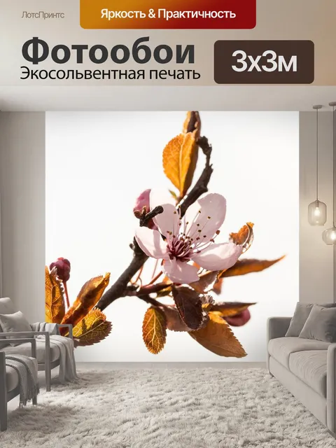 Фотообои Цветок