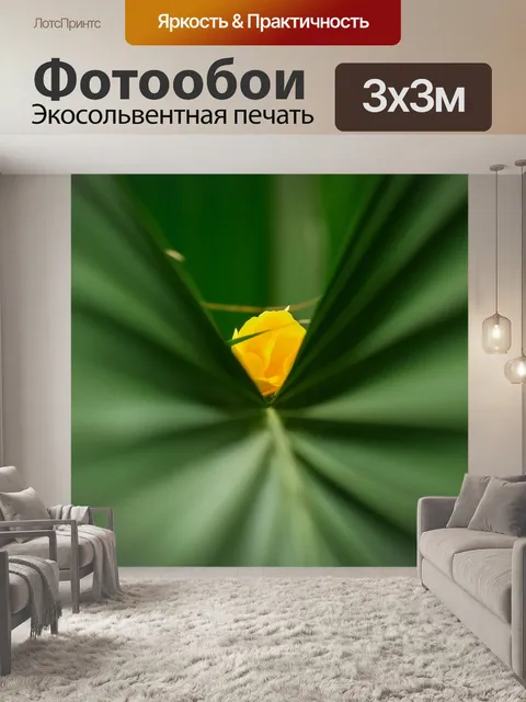 Фотообои Пальмовые листья