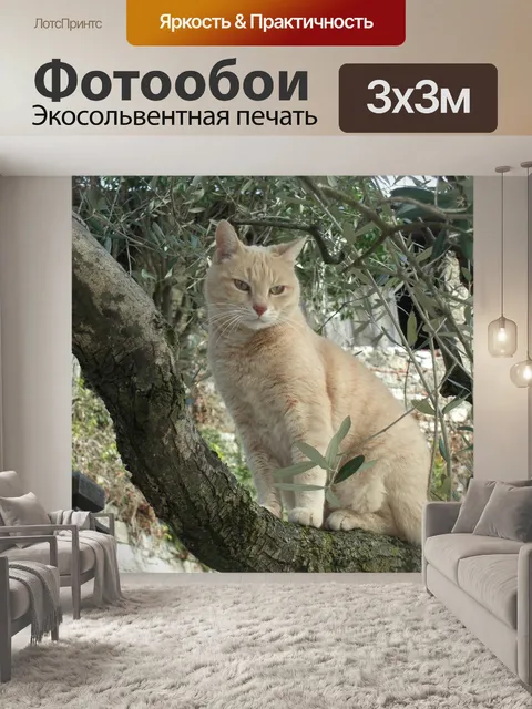 Фотообои Природа