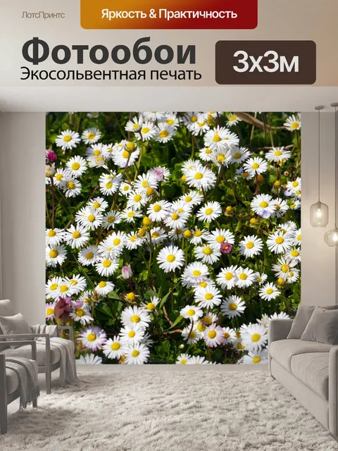 Фотообои Ромашки