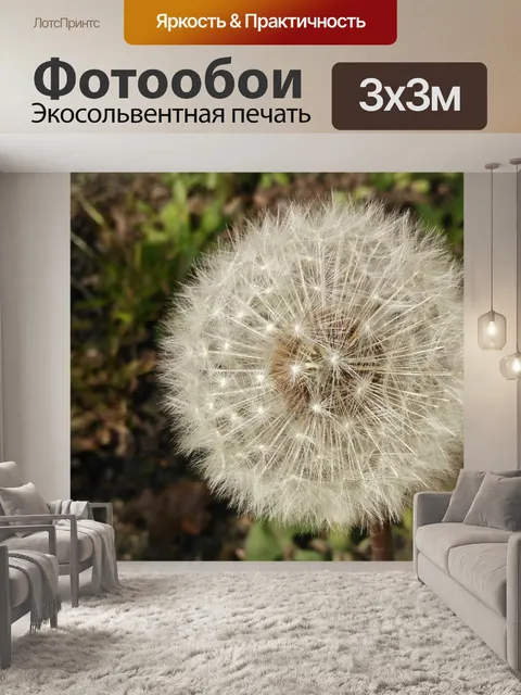 Фотообои Одуванчик