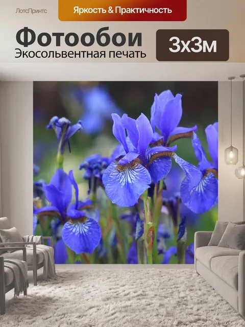 Фотообои Цветы