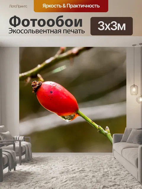 Фотообои Фрукты