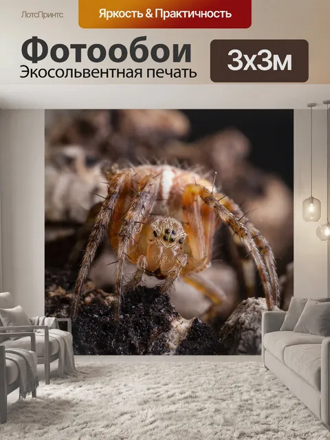 Фотообои Животное