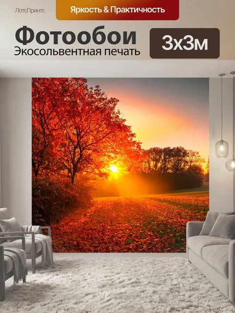 Фотообои осень закаты, деревья в огненном наряде, солнце опускается за горизонтом, создавая мистическую атмосферу