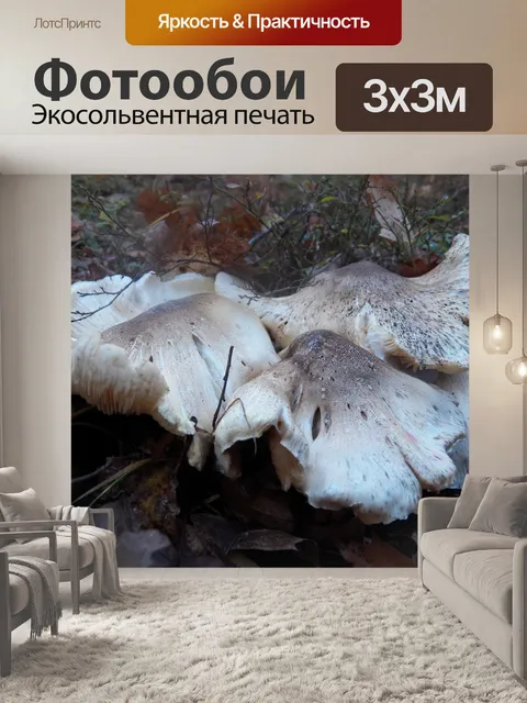 Фотообои грибы