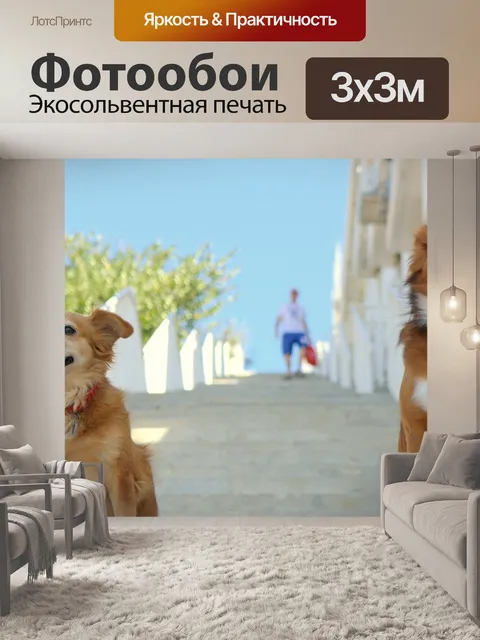 Фотообои Собака собаки