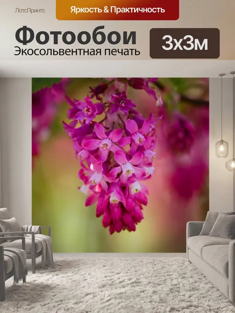 Фотообои Розовые цветы цветут