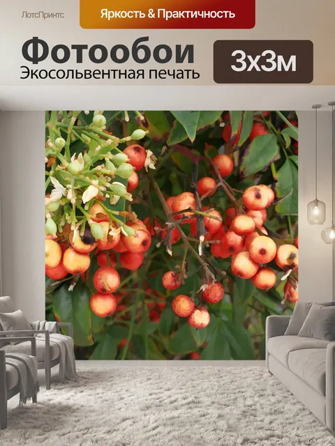 Фотообои ягоды
