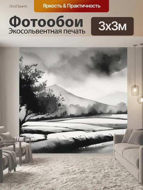 Фотообои черно белого пейзажа