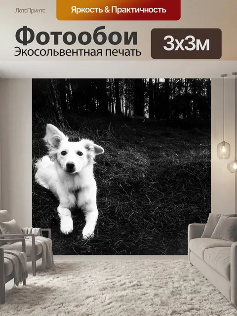 Фотообои Животное