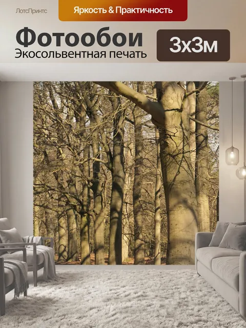 Фотообои Лес