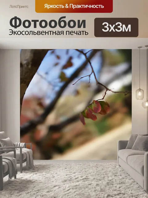 Фотообои Природа