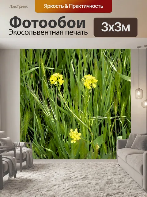 Фотообои Цветы горчицы