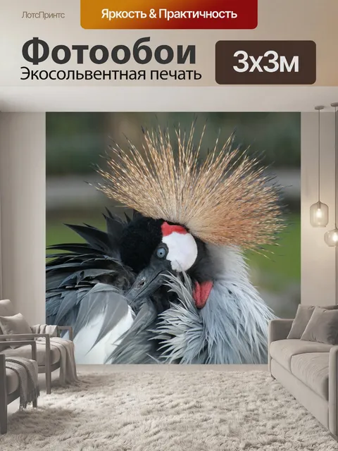 Фотообои Венценосный журавль
