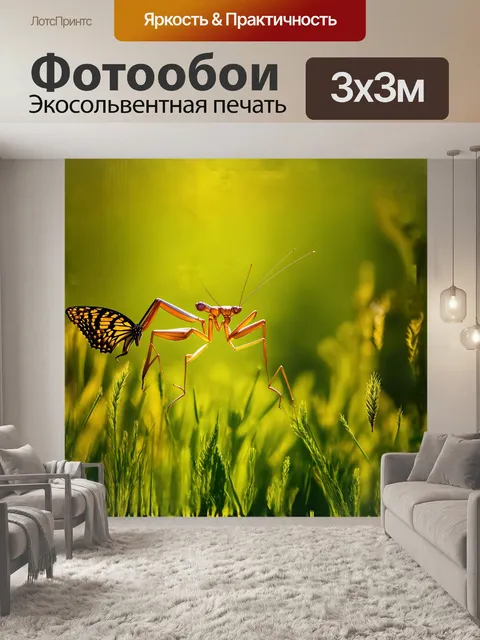 Фотообои богомол величественно парит над зеленым лугом, его хищные глаза блестят на солнце