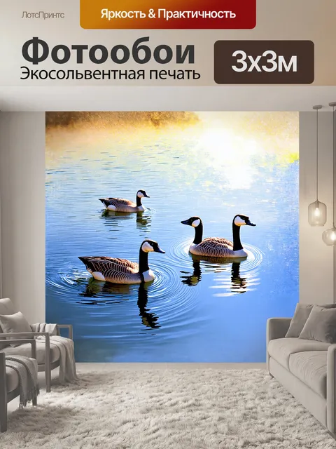 Фотообои гуси, плавающие в спокойном озере, излучают яркие солнечные блики, отражающиеся на воде