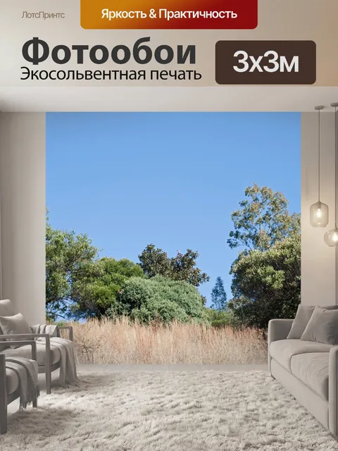 Фотообои вечнозеленые деревья и кусты