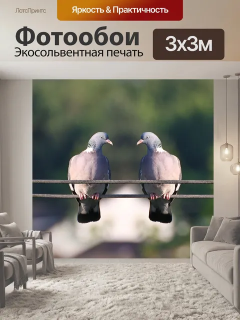 Фотообои Птицы