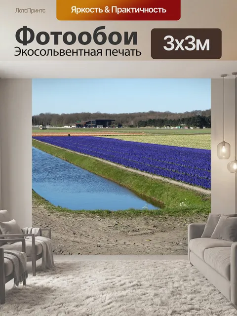 Фотообои Тюльпаны