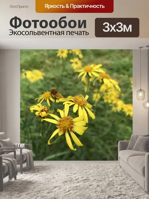 Фотообои Цветок