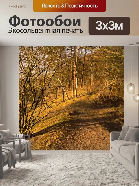 Фотообои Лесная тропа