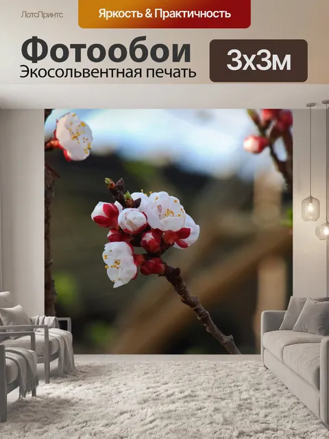 Фотообои Открытые нежно-розовые цветы фруктовых д