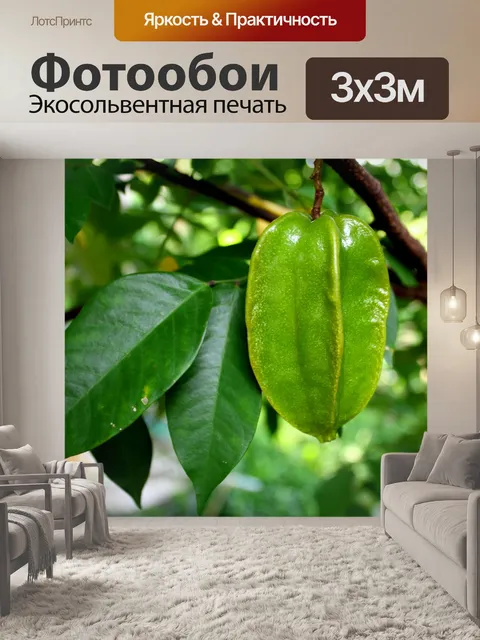 Фотообои Фрукты Star Fruit и Star Fruit Apple