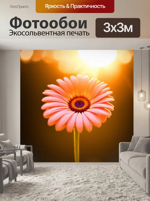 Фотообои цветок гербера, разворачивающийся под светом закатного солнца, с мягкими тенями и теплым освещением