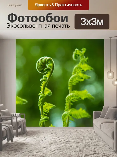 Фотообои папоротник