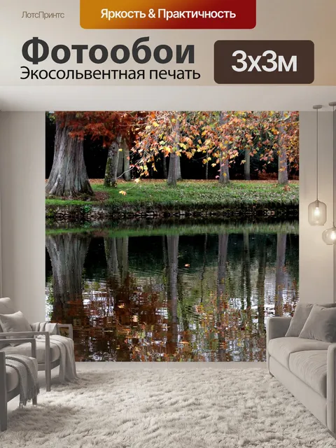 Фотообои Лес