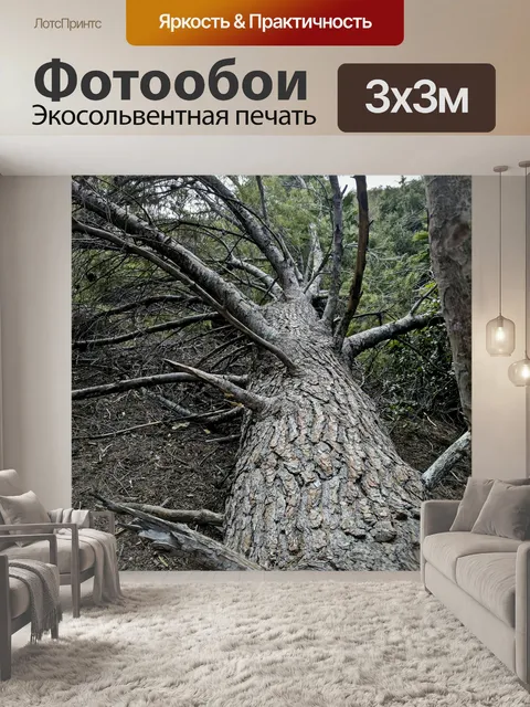 Фотообои Упавшее дерево