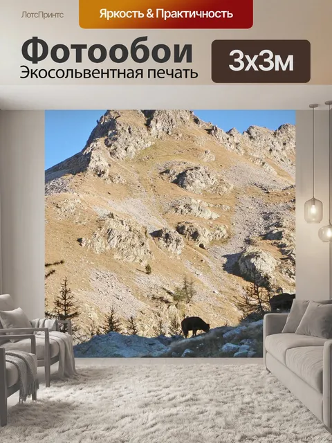 Фотообои Гора