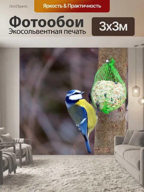 Фотообои Птицы