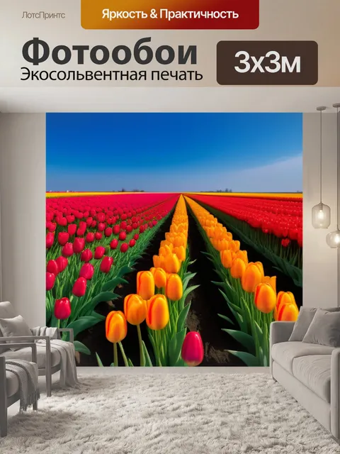 Фотообои небо в тюльпанах