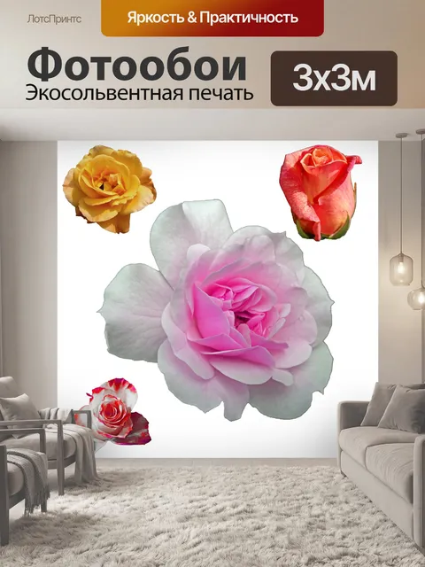 Фотообои Изолированные цветок Клипарт