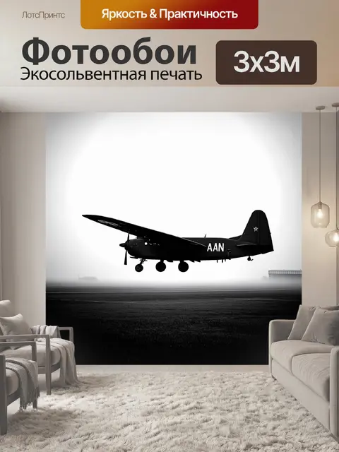 Фотообои ан-2 вылетает из клубов тумана на старом аэродроме, придавая сцене загадочность
