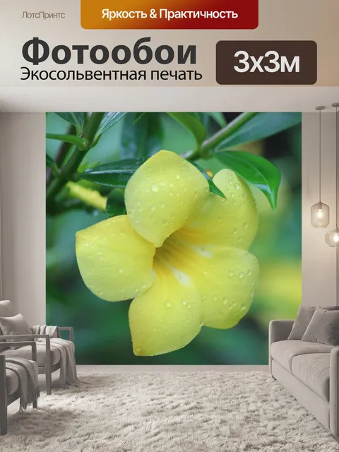 Фотообои Цветы