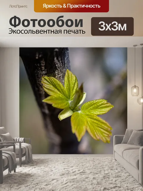 Фотообои Листья