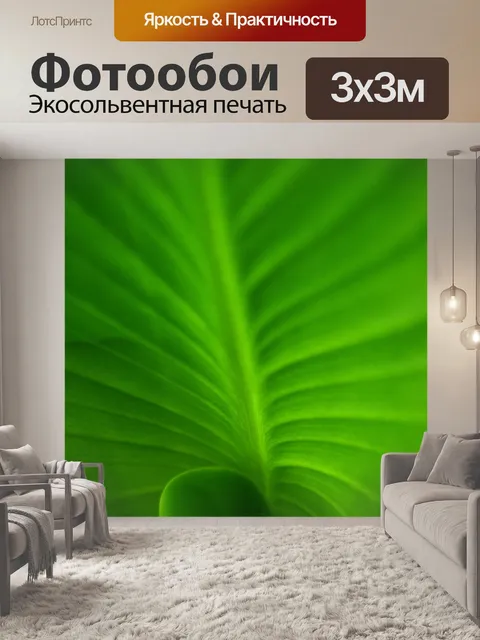 Фотообои зеленый лист спиральной