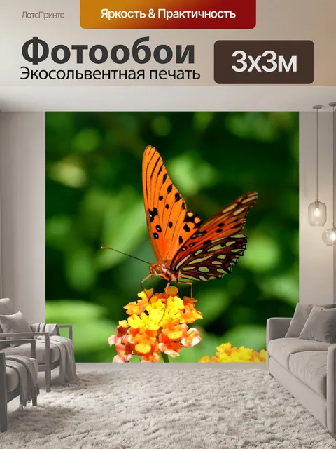 Фотообои Яркая фруктовая бабочка