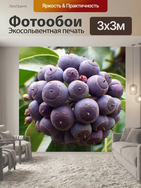 Фотообои Фрукты
