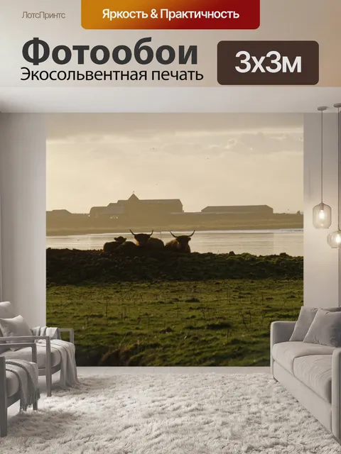 Фотообои Хайленд коров 2