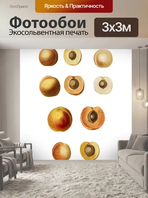 Фотообои Фрукты абрикосы винтаж клипарт