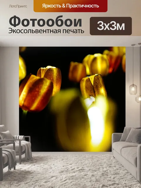 Фотообои Ночная точка зрения