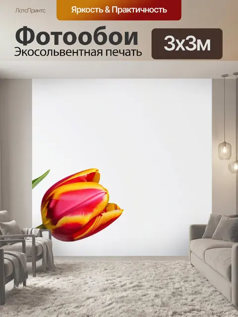 Фотообои тюльпаны в стиле минимализма на белом фоне