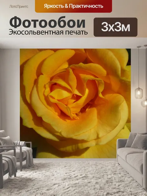 Фотообои Благородная роза