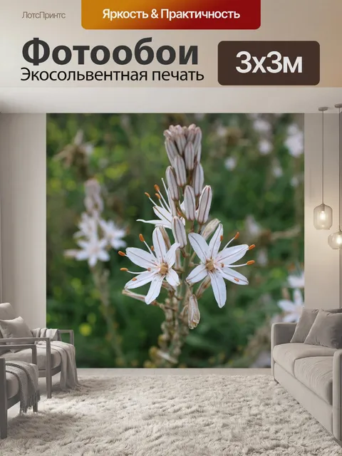 Фотообои Цветок