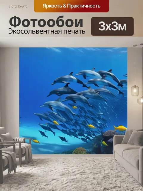 Фотообои море, наполненное дельфинами и разноцветными рыбами