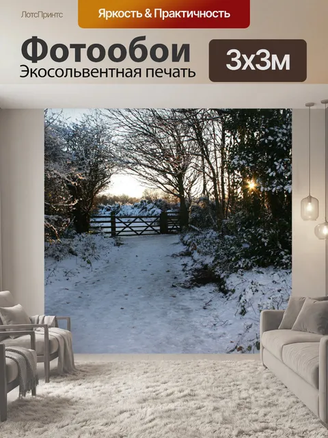 Фотообои Снега